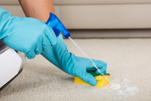 DIY Solutions for Removing Carpet Odors 